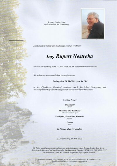 Ing. Rupert Nestreba